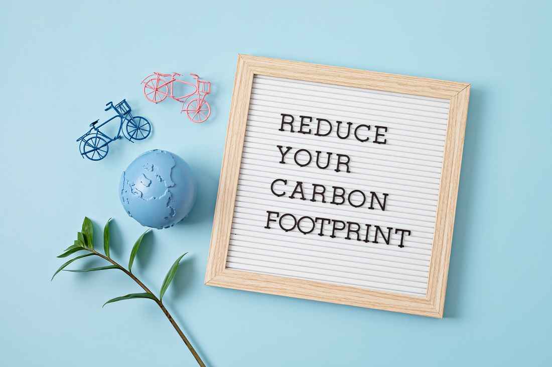 Carbon Footprint Analyst